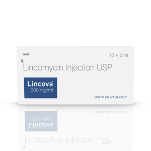 Lincova 300 Injection