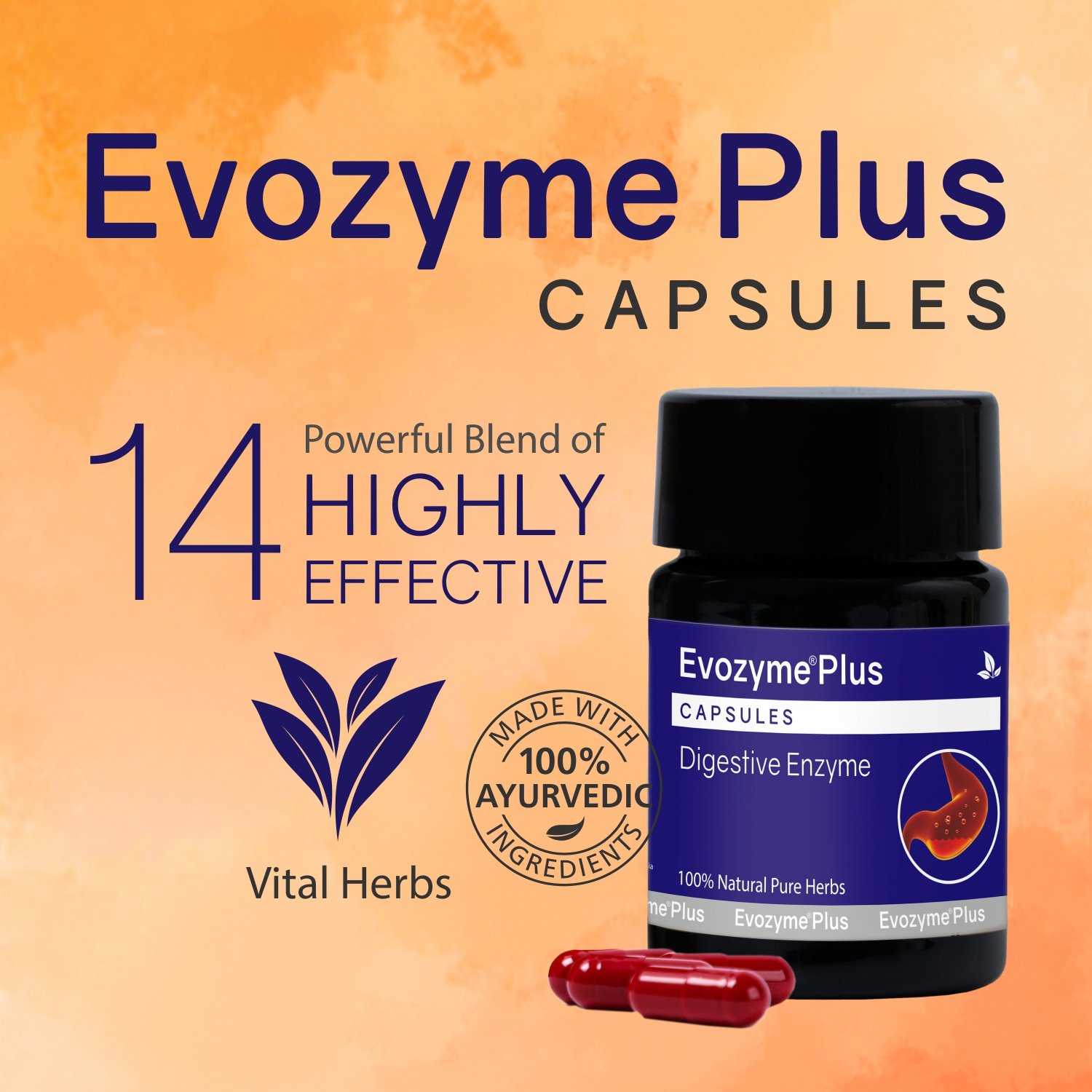 Evozyme Plus Capsules - Image 2