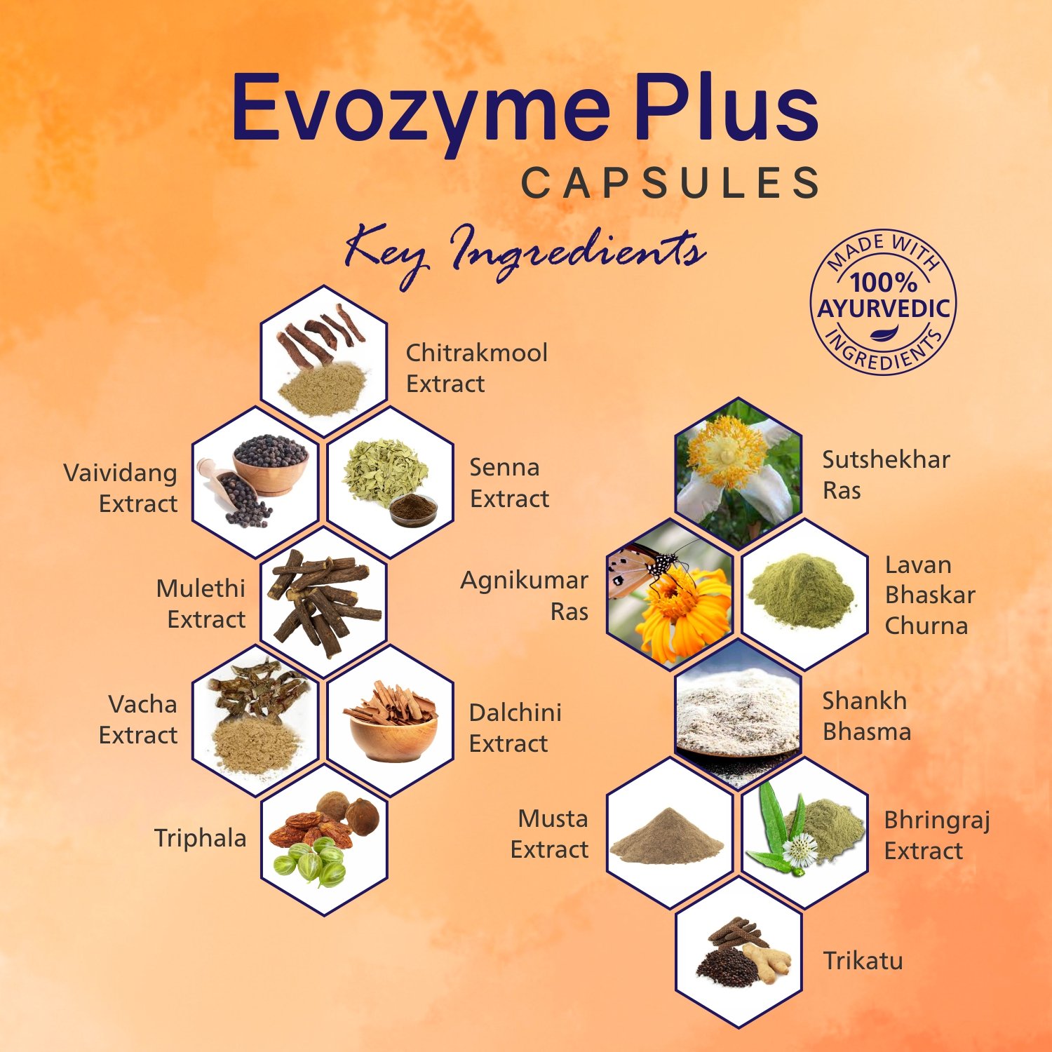 Evozyme Plus Capsules - Image 3