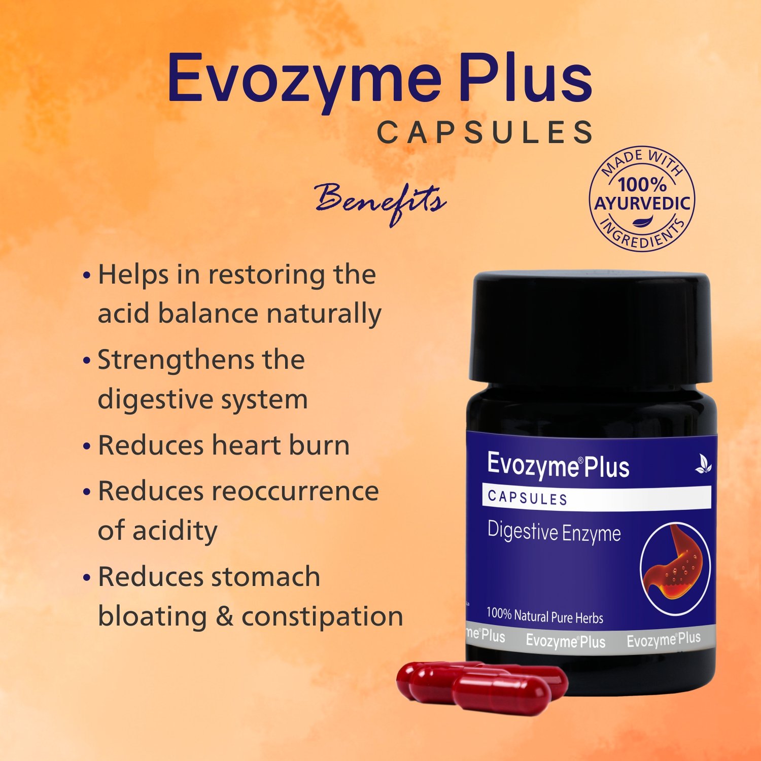 Evozyme Plus Capsules - Image 4