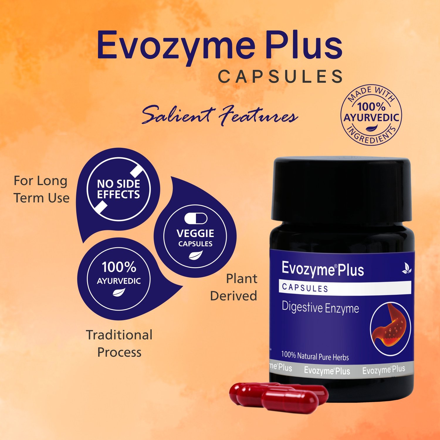 Evozyme Plus Capsules - Image 5