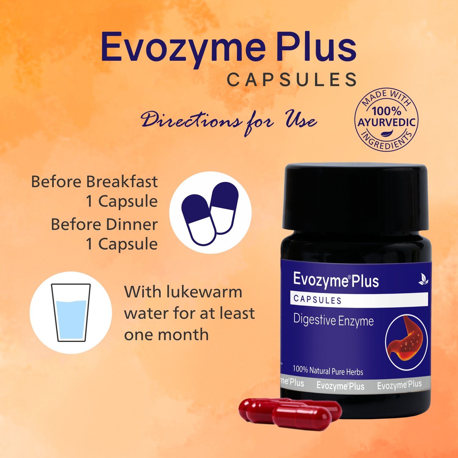Evozyme Plus Capsules - Image 6
