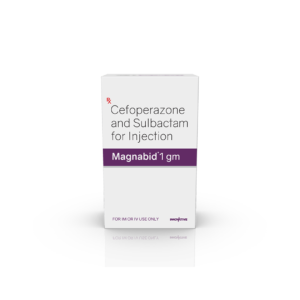 Magnabid 1 gm Injection
