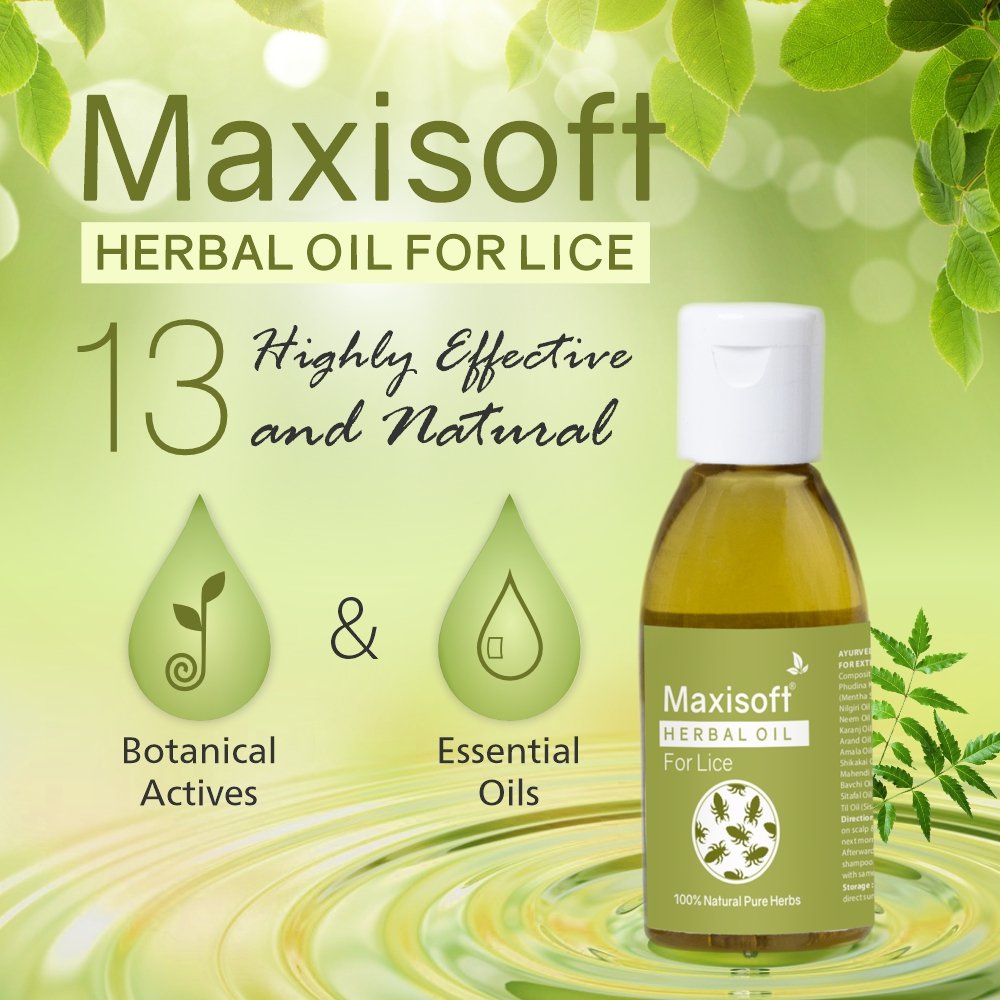 Maxisoft Anti-Lice Herbal Oil - Image 2