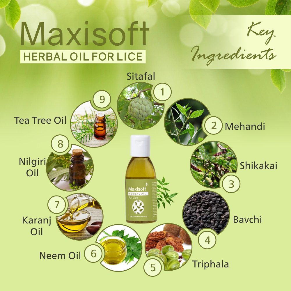 Maxisoft Anti-Lice Herbal Oil - Image 4
