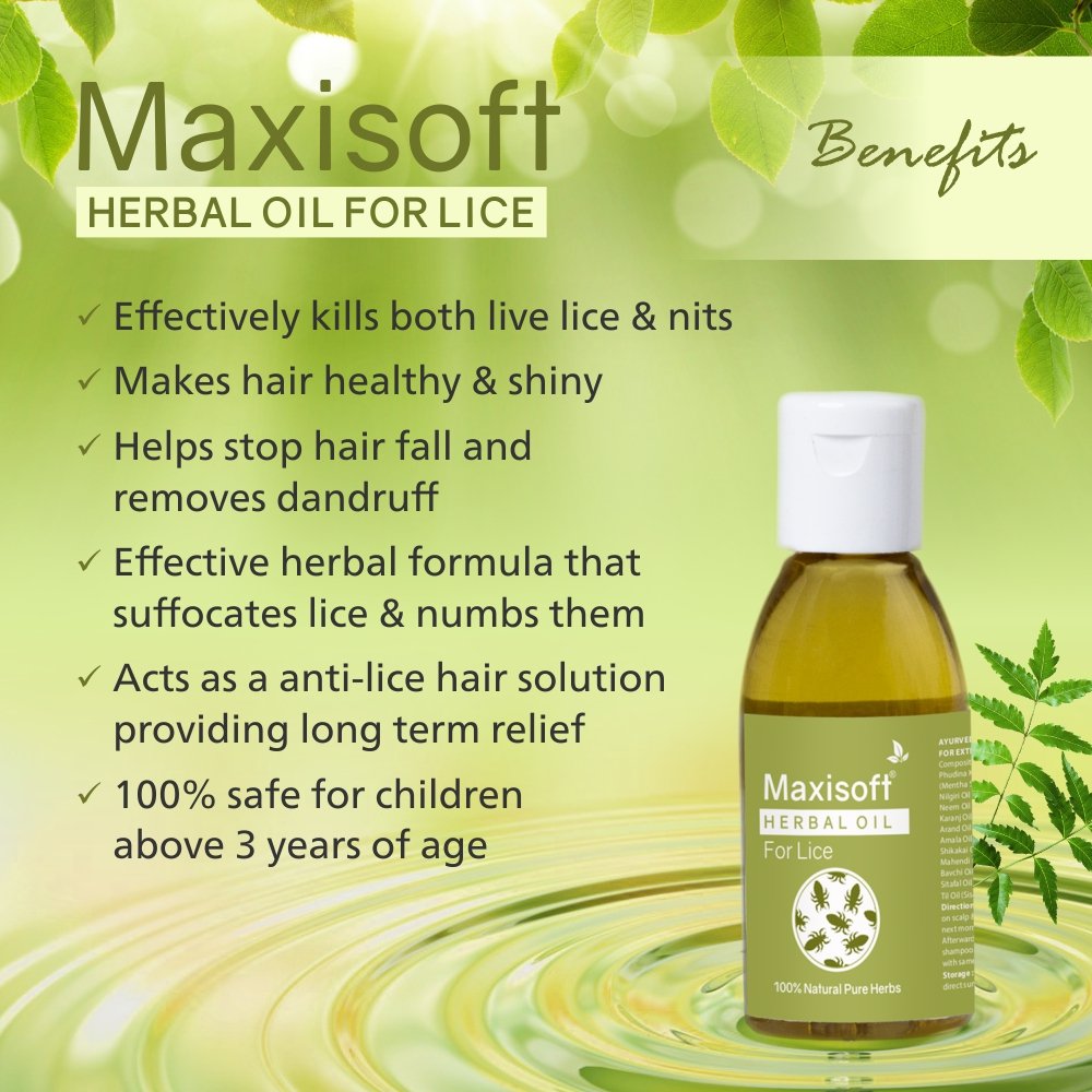 Maxisoft Anti-Lice Herbal Oil - Image 5