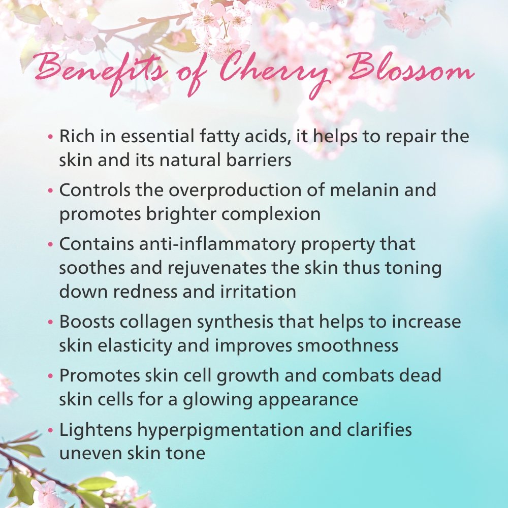 Maxisoft Japanese Cherry Blossom Bathing Bar - Image 4
