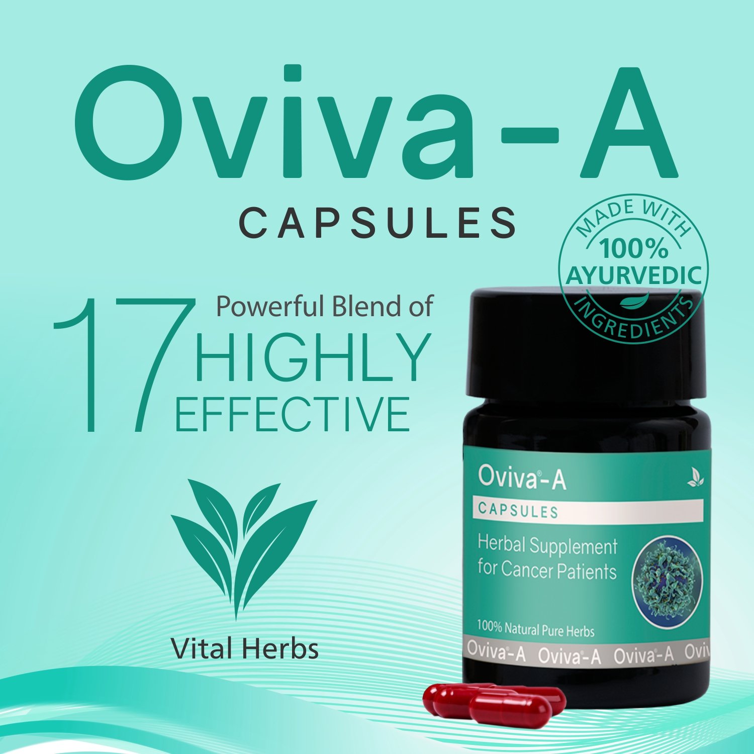 Oviva-A Capsules - Image 2