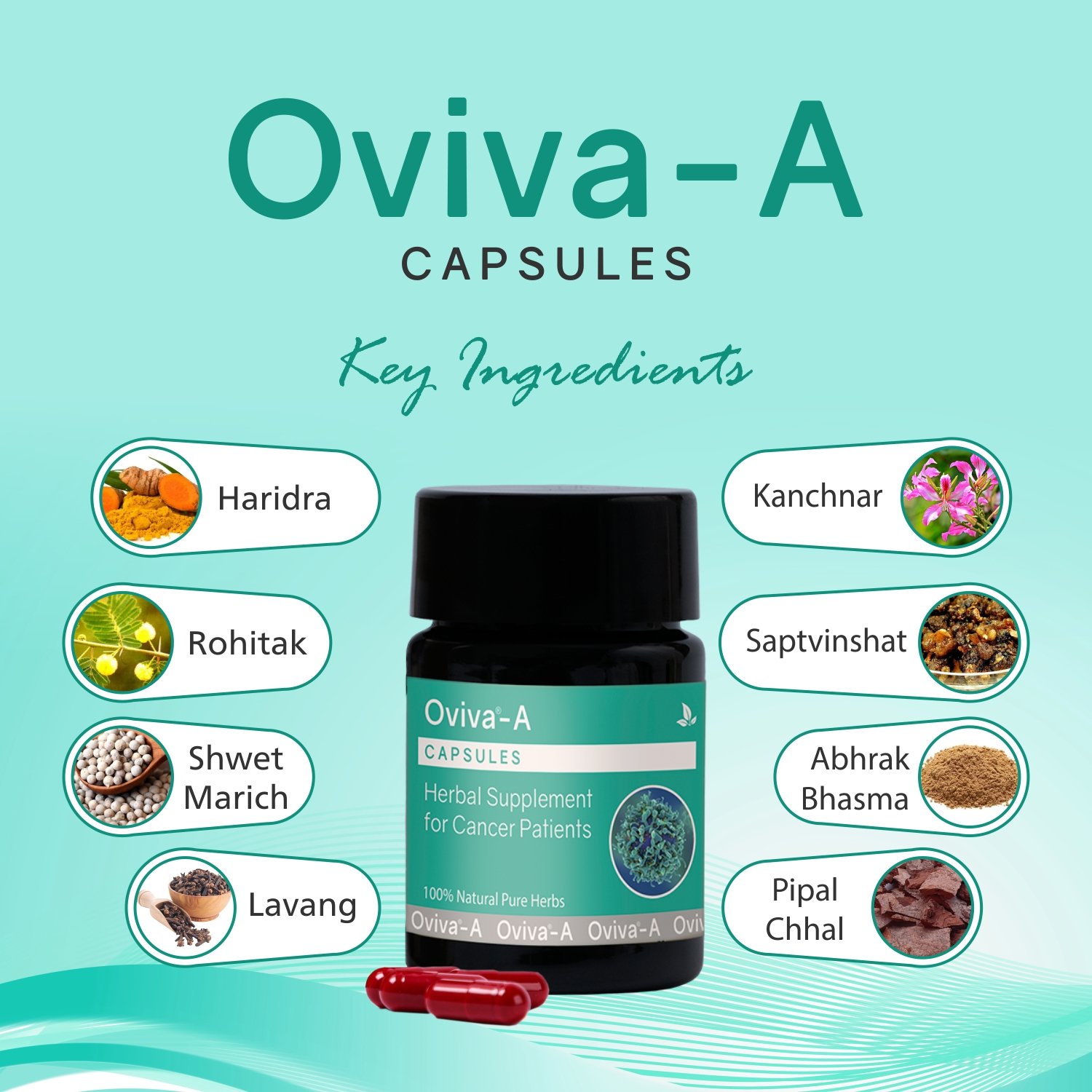 Oviva-A Capsules - Image 3