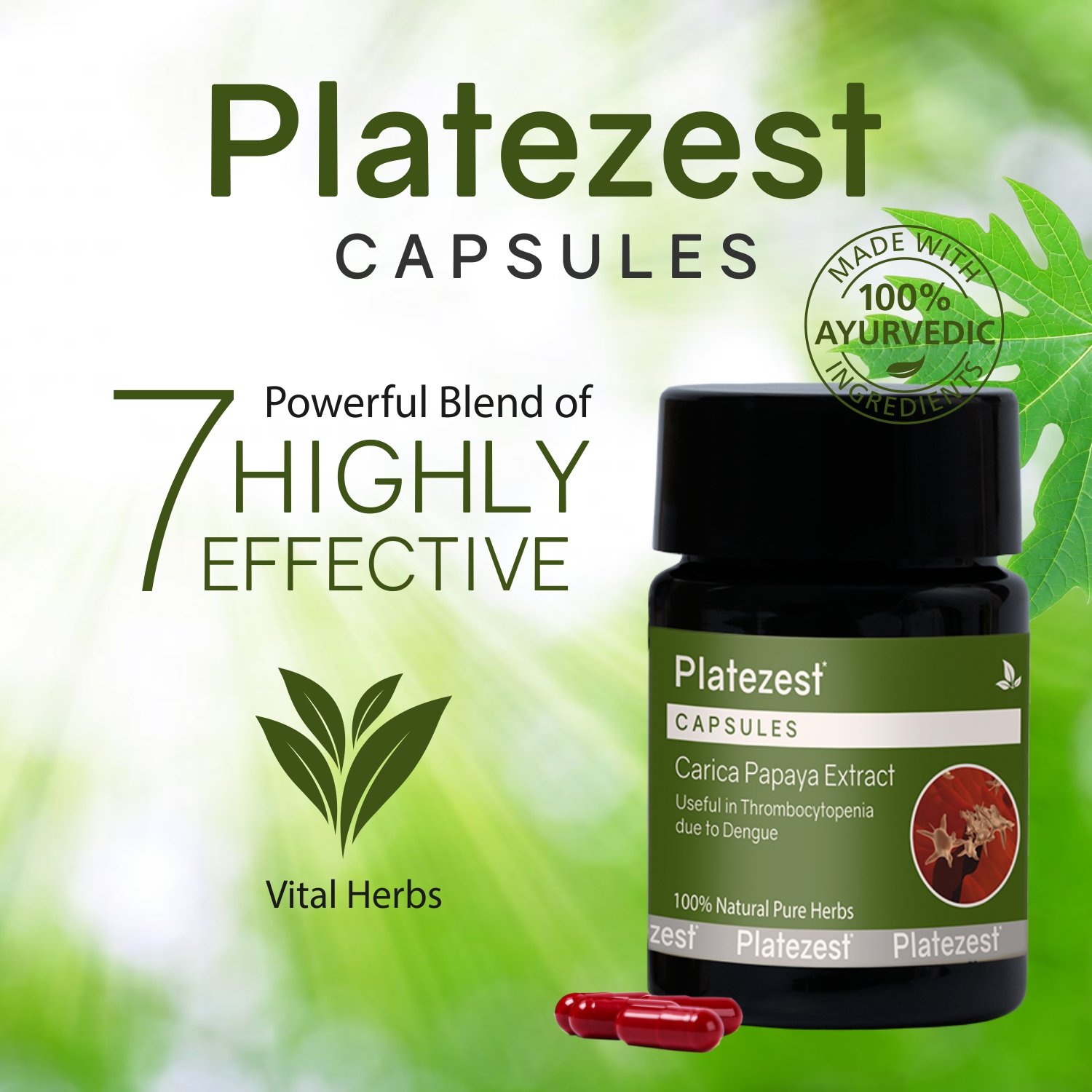 Platezest Capsules - Image 2