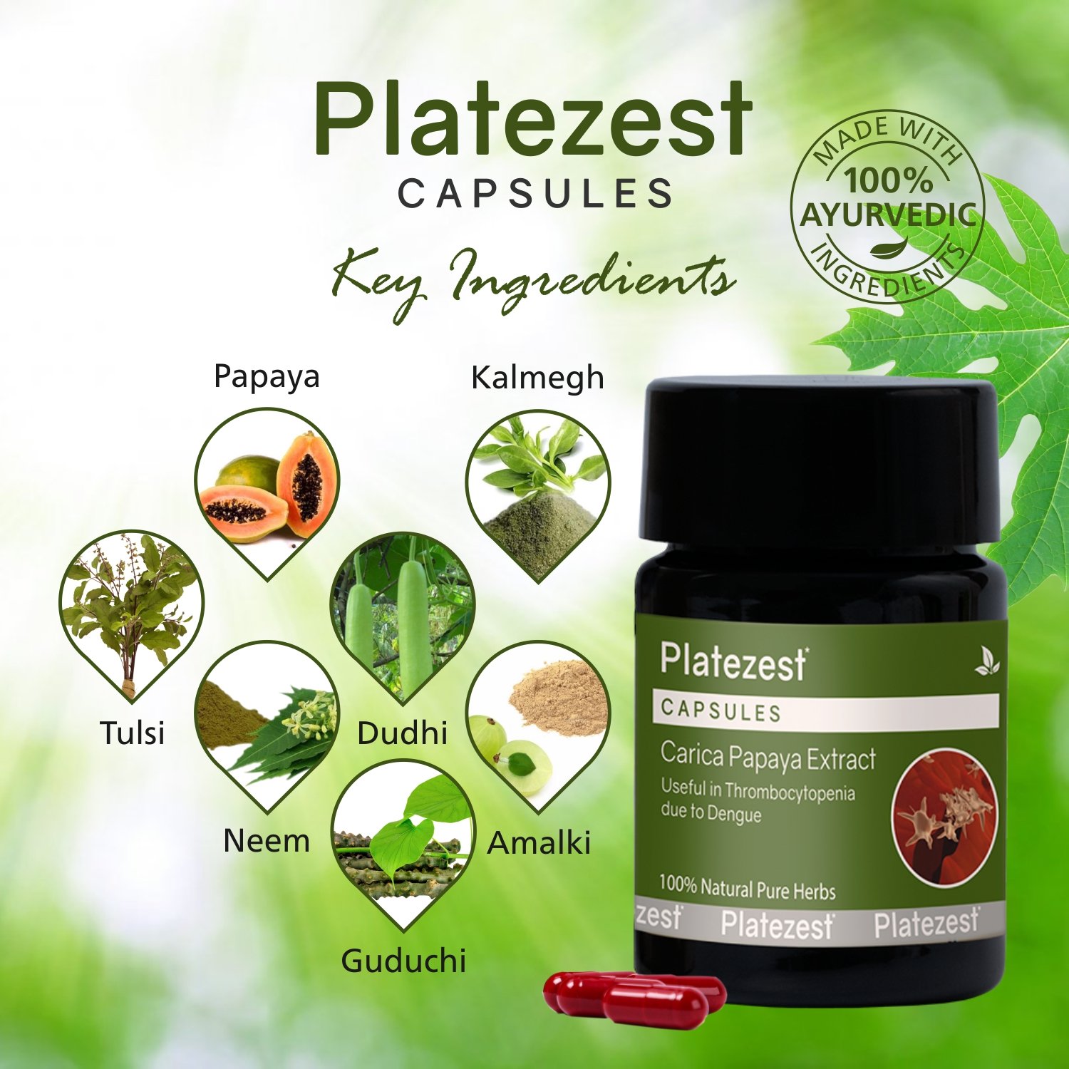 Platezest Capsules - Image 3