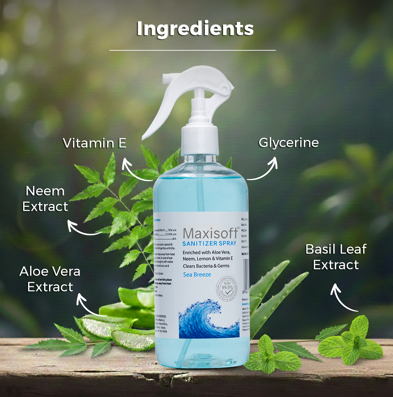 Maxisoft Hand Sanitizer (Spray) Sea Breeze 500 ml - Image 3